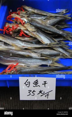 高淳哪裏釣魚好